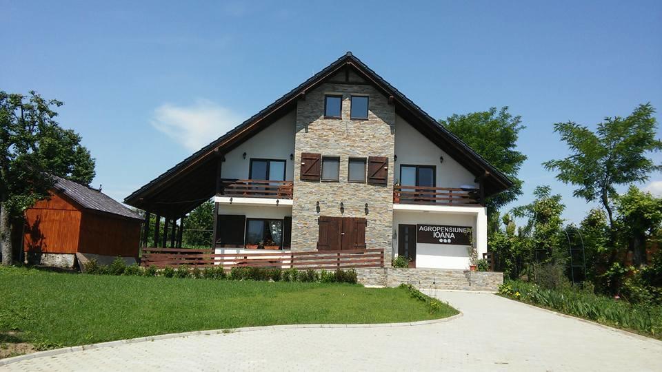 Agropensiunea Ioana Lisaura Bagian luar foto