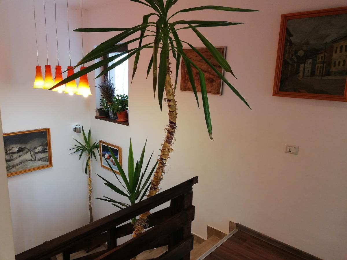 Agropensiunea Ioana Lisaura Bagian luar foto
