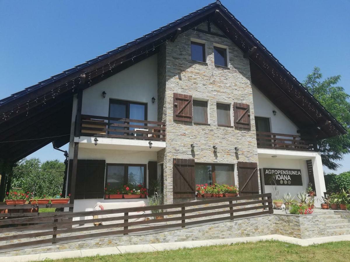 Agropensiunea Ioana Lisaura Bagian luar foto